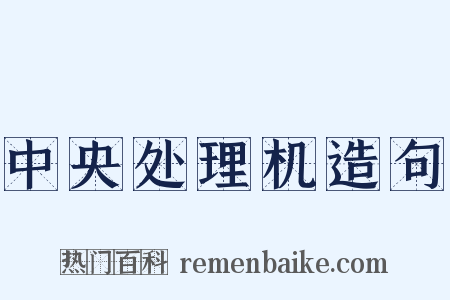 中央处理机造句是什么意思的图片